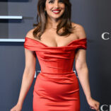 Priyanka Chopra Citadel Premiere 65