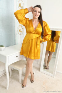 Only Silk And Satin Ivy Rain Crossover Dress 4